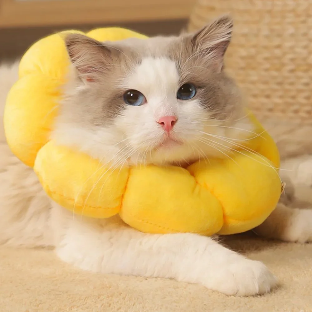 Cat Small Dog Recovery Collar Cute Sunflower Neck Cone After Surgery, Adjustable